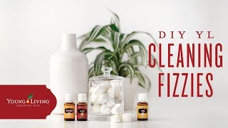 DIY Young Living Essential Oil Cleaning Fizzies [upl. by Ayit847]