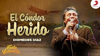 El condor herido Diomedes Díaz  Video Oficial [upl. by Devina]