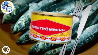 Surströmming The Secrets of this Stinky Swedish Fish [upl. by Sirrad]