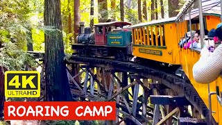 2023 Roaring Camp Railroad Redwood Forest Steam Train FULL RIDE EXPERIENCE near Santa Cruz 4K HDR [upl. by Lagiba]