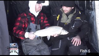 Lake Simcoe Whitefish  Ice Fishing with Stealth Rigs  Castaway Fishing [upl. by Gudren]