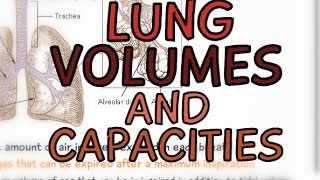 The Respiratory System Lung Volume and Capacities [upl. by Prudence923]