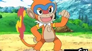 Ashs Chimchar Evolves into Monferno [upl. by Etnovahs]