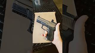 Sig Sauer SP2022 9mm legallydangerous edc concealedcarrynation [upl. by Ennyleuqcaj]