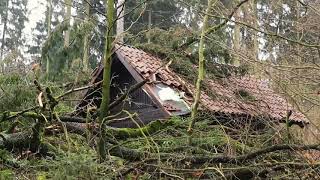 Schwere Schäden nach Sturm Friederike im Wald im Kreis Northeim [upl. by Rehpoitsirhc]