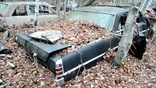 60S CANADIAN PONTIACS amp CHEVROLETS IN JUNKYARD [upl. by Asila268]