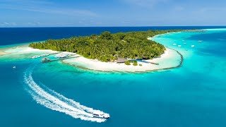 Kuramathi Maldives 2019 Updated [upl. by Gae]