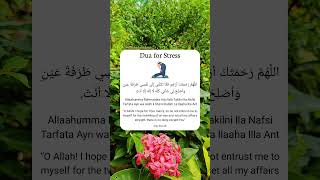 Dua for Stress [upl. by Means]