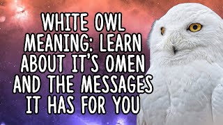 White Owl Meaning  Owl Spirit Animal [upl. by Ilamad244]