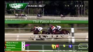 “The Pasco Stakes 2022” Tampa Bay Downs Horse Markhamian [upl. by Nasah]