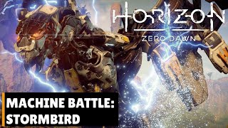 Horizon Zero Dawn  Stormbird Battle [upl. by Nahsar681]