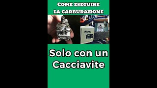 Carburazione Motosega Carburatore a membrane come carburare motosega HOW TO CARBURETE THE CHAINSAW [upl. by Kolosick764]