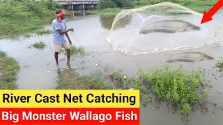 River Cast Net Catching  😳🐟 Big Monster Wallago Fish [upl. by Etteval]