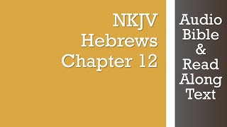 Hebrews 12  NKJV  Audio Bible amp Text [upl. by Nylazor926]