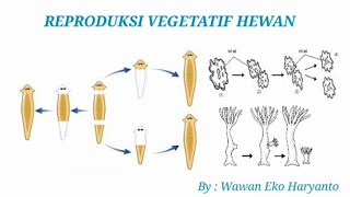 REPRODUKSI VEGETATIF PADA HEWAN  IPA Kelas 9 [upl. by Audwen116]