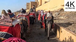 Amber Fort Elephant Ride  Jaipur  India 4K [upl. by Esimehc]