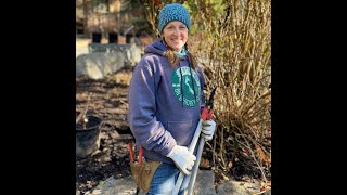 How to Prune Mophead and Lacecap Hydrangeas [upl. by Saleem]