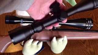 The best AR carry handle scope mount amp BSA Sweet series scopes [upl. by Keir910]