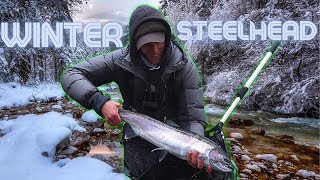 FLY FISHING for Winter Steelhead  Salmon River NY [upl. by Ferwerda]