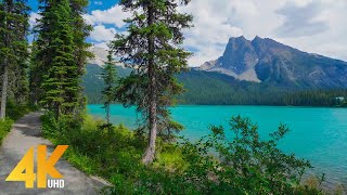 2 HRS Virtual Walk around Emerald Lake Yoho National Park  4K Nature Walking Tour  Birds Chirping [upl. by Enelkcaj]