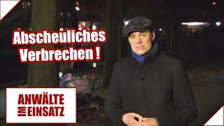 ANGRIFF auf Obdachlose 😱​😡 quotAn FEIGHEIT nicht zu überbietenquot  12  Anwälte im Einsatz  SAT1 [upl. by Rianna182]