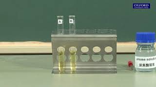 Practical 44 Investigation of the effect of inhibitors on enzyme activity [upl. by Htebasil]