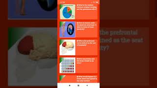 How to open links in Android WebView with Chrome Custom Tabs  Demonstration on TheAmplituhedron [upl. by Leunamme]