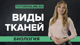 Виды тканей покровная механическая проводящая ткань  Биология  TutorOnline [upl. by Sabra404]