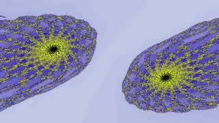 Fractals in Octonion algebra [upl. by Kostival]