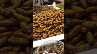 Eating insects in Thailand challenge [upl. by Ennove]