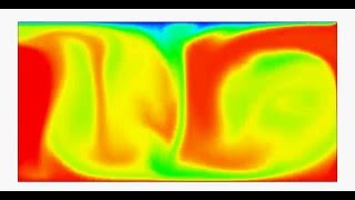 Lattice Boltzmann Method LBM simulation  Rayleigh Benard convection [upl. by Aivatan931]