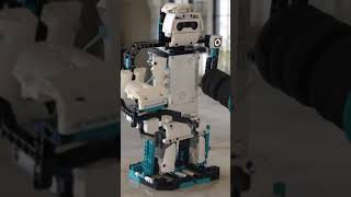 YOU Got Served by the LEGO Mindstorms Beta Rex [upl. by Janek]