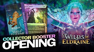 My First Wilds of Eldraine Collector Booster Opening  Magic The Gathering 2024 [upl. by See806]