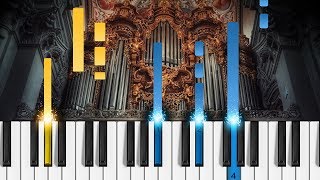 Bach  Toccata and Fugue in D Minor  ORGAN Tutorial [upl. by Halpern]