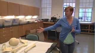 NC State Osteology Lab Tour [upl. by Brodench]