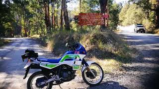 Kawasaki KLR650 Tengai Autumn 2018 ride [upl. by Llezniuq]