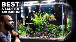 The Budget Aquarium Setup You Cannot Miss [upl. by Nakhsa]