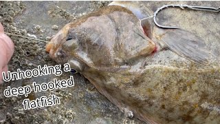 How to unhook a flounder that’s deep hooked seafishing fishing flounder [upl. by Enialedam509]