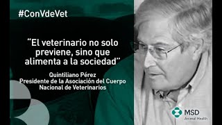 La importancia del veterinario en la salud pública  Consejo Con V de Vet  Quintiliano Pérez [upl. by Ahcarb]