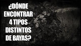 Red Dead Redemption 2  ¿Dónde comer 4 tipos de Bayas distintas Desafío de Herbolario Nivel 2 [upl. by Sucramd]