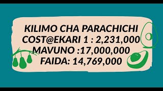 Hii Ni Gharama ampFaida Kilimo Cha Parachichi Kwa EkariMadawaAridhiVipimoMboleaMicheUvunajiAZ [upl. by Haman]