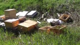 How I Killed my Hive Beekeeping Preparing Hives for bees new and old [upl. by Marji]