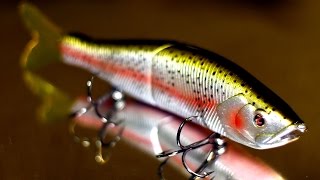 Which Big Swimbait Should You Try First [upl. by Aima416]