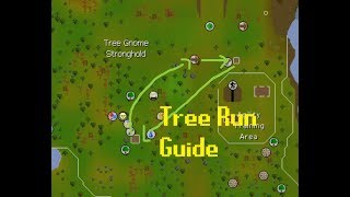 Farming Guide Tree Run Route OSRS [upl. by Roehm422]