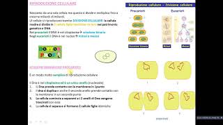 DIVISIONE CELLULARE  SCISSIONE BINARIA [upl. by Judenberg]