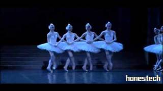 Swan Lake  Act II  Cygnets Dance  Pas de Quatre  POB [upl. by Nerrag756]