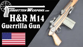 HampRs Experimental M14 Guerrilla Gun [upl. by Nolahp191]