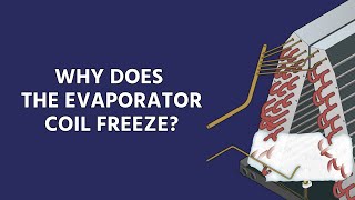 Why Does The Evaporator Coil Freeze And How to Diagnose It [upl. by Aguayo]