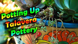 Potting Up Talavera Pottery With Succulents amp Tropicals [upl. by Matheny157]