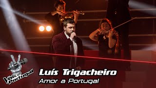 Luís Trigacheiro  quotAmor a Portugalquot  Final  The Voice Portugal [upl. by Ardme]